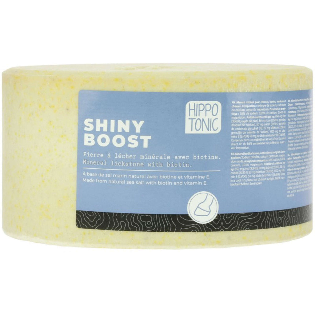 Hippotonic Liksteen Shiny Boost