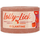 Hippotonic Lolly-Lick Hondsroos.