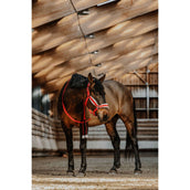 EQUITHÈME Halster Set Kerst Rood