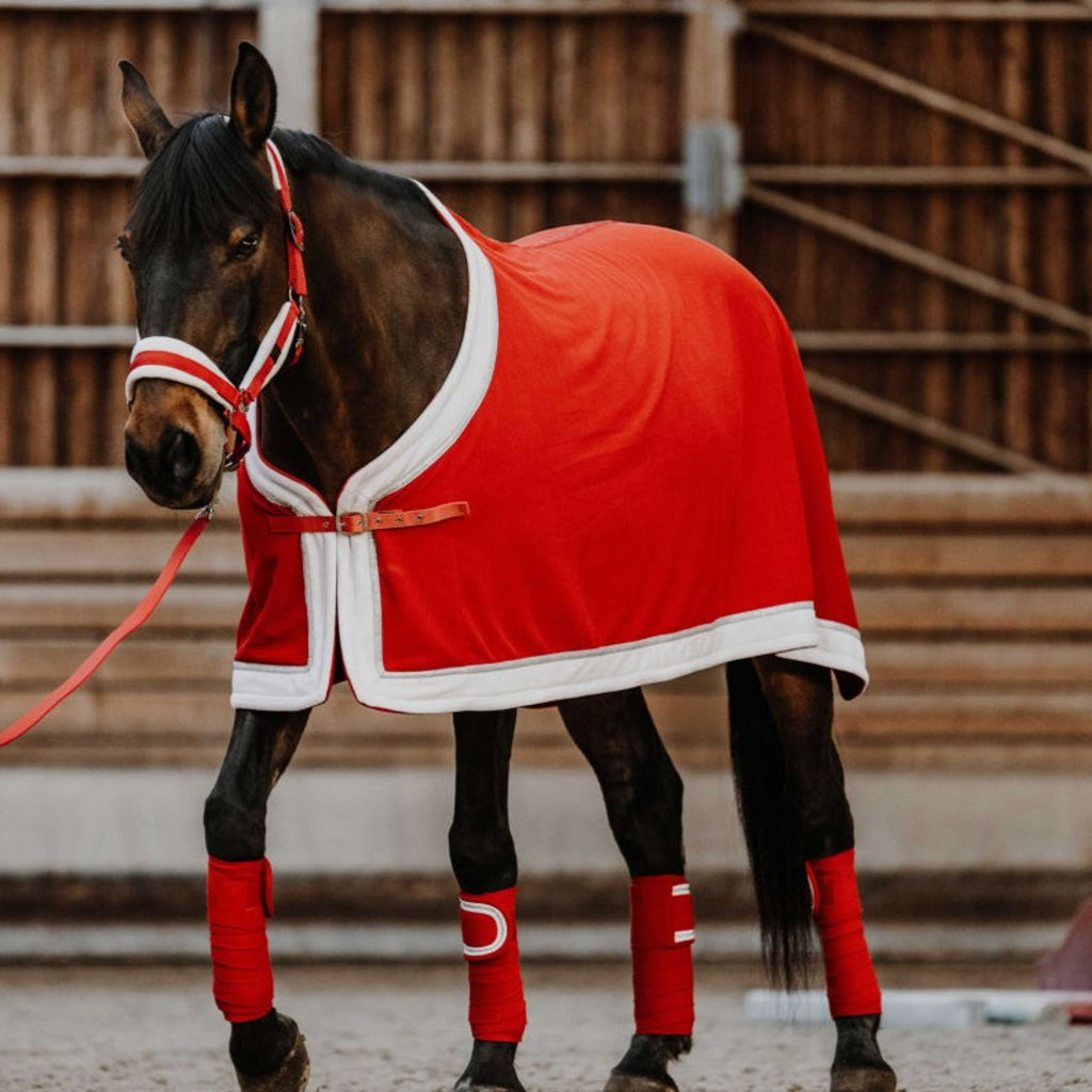 EQUITHÈME Halster Set Kerst Rood