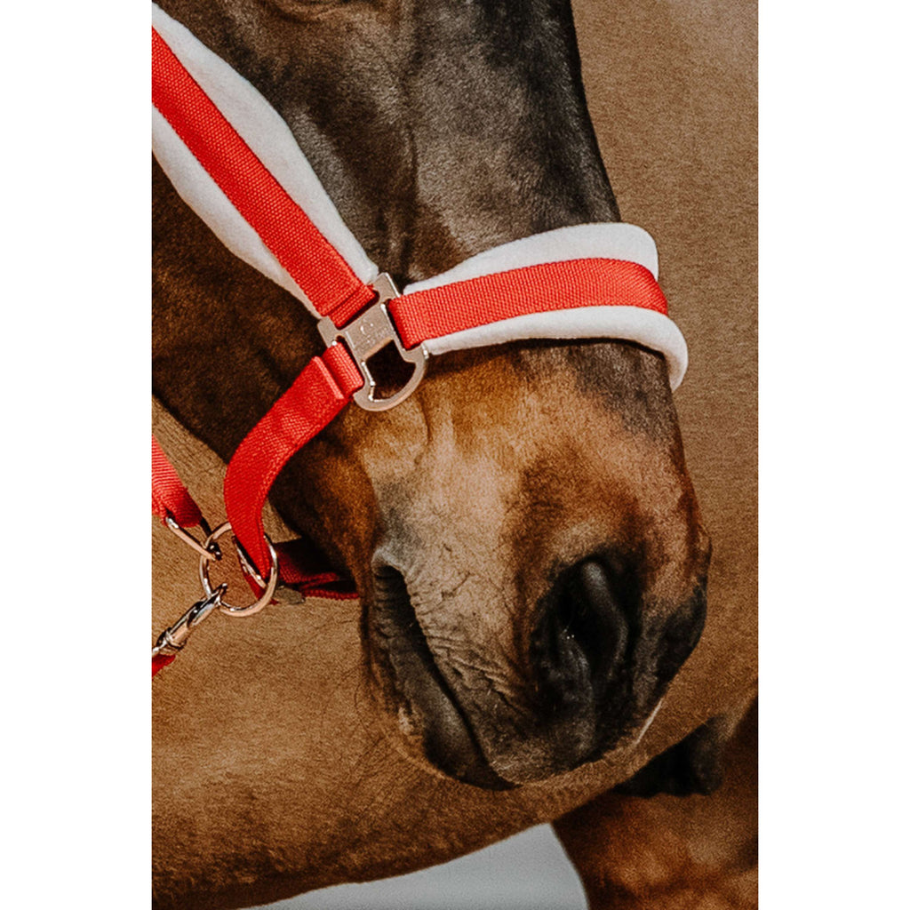 EQUITHÈME Halster Set Kerst Rood