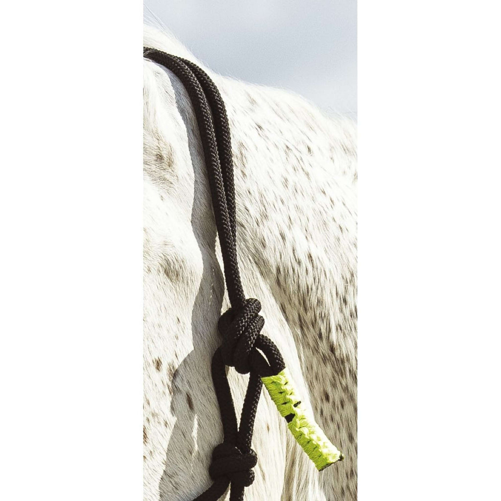 Norton Touwhalsterset Fun Colour Ethologisch Zwart/Neon Groen
