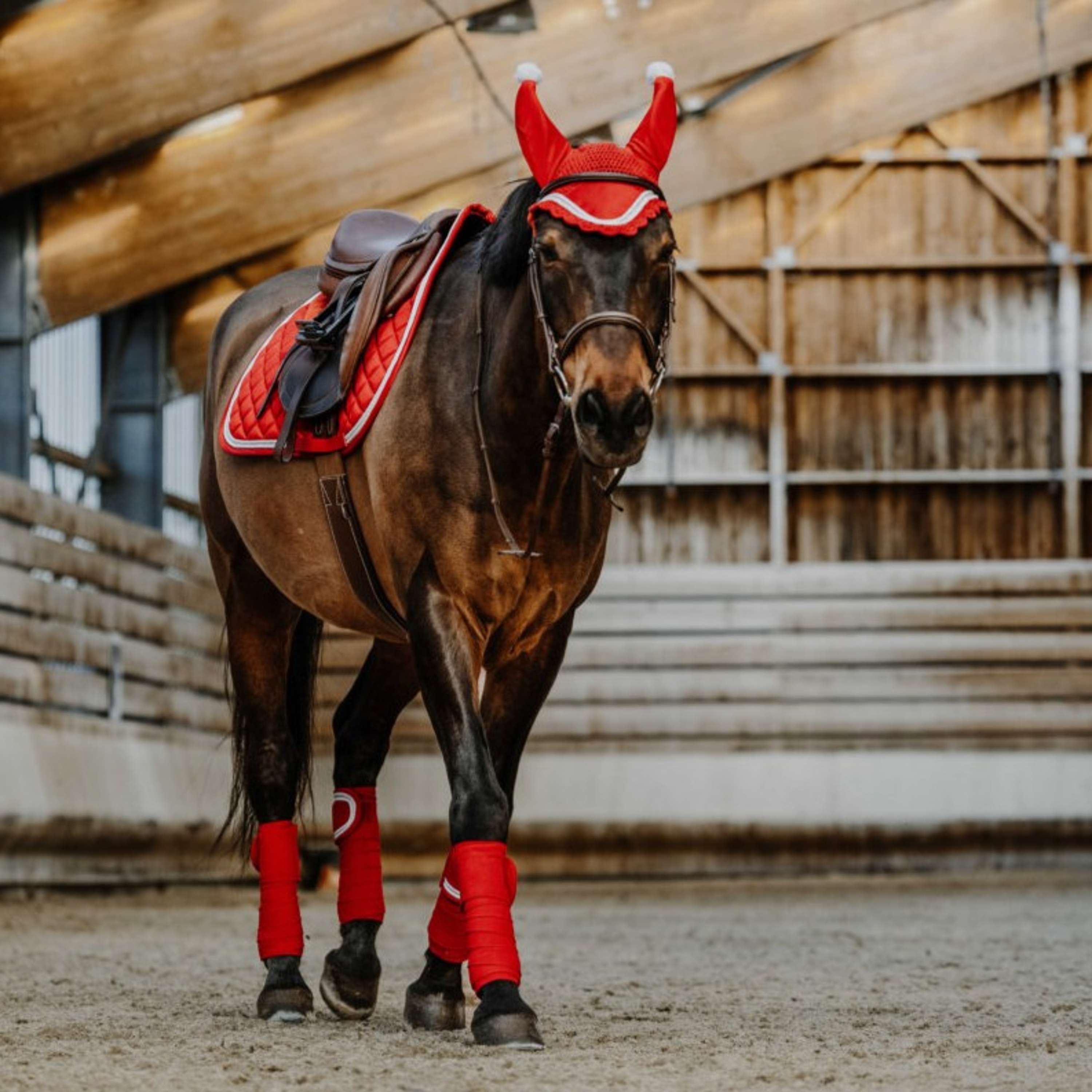 EQUITHÈME Bandages Kerst Rood