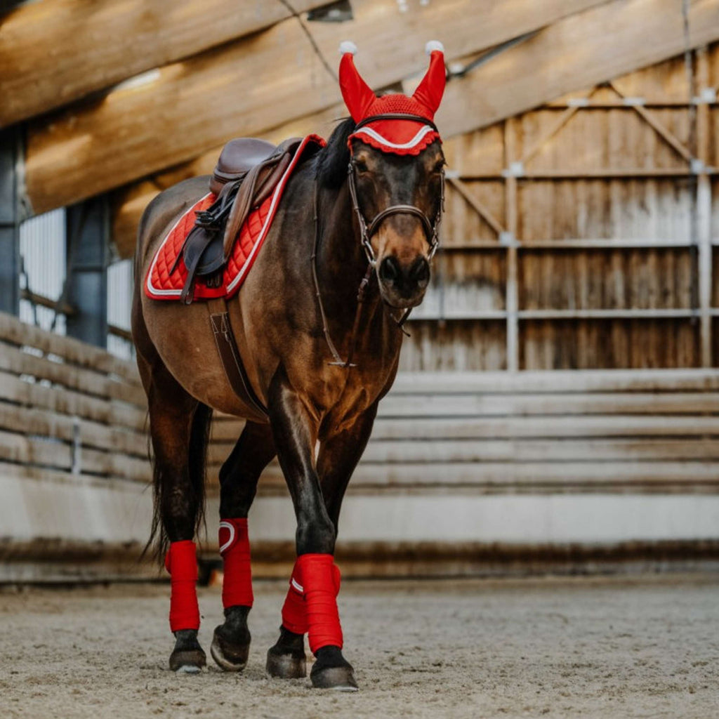 EQUITHÈME Bandages Kerst Rood