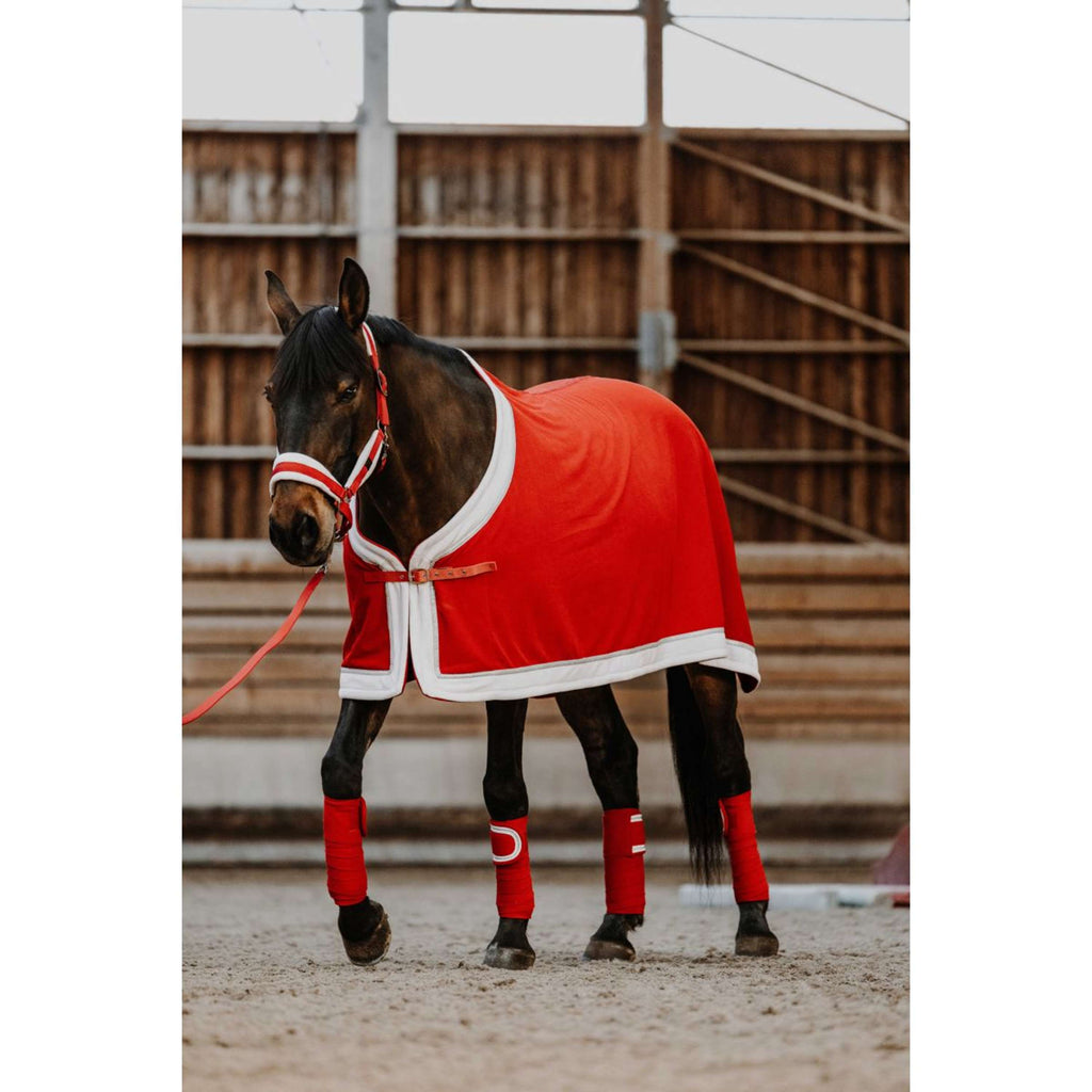 EQUITHÈME Halster Set Kerst Rood