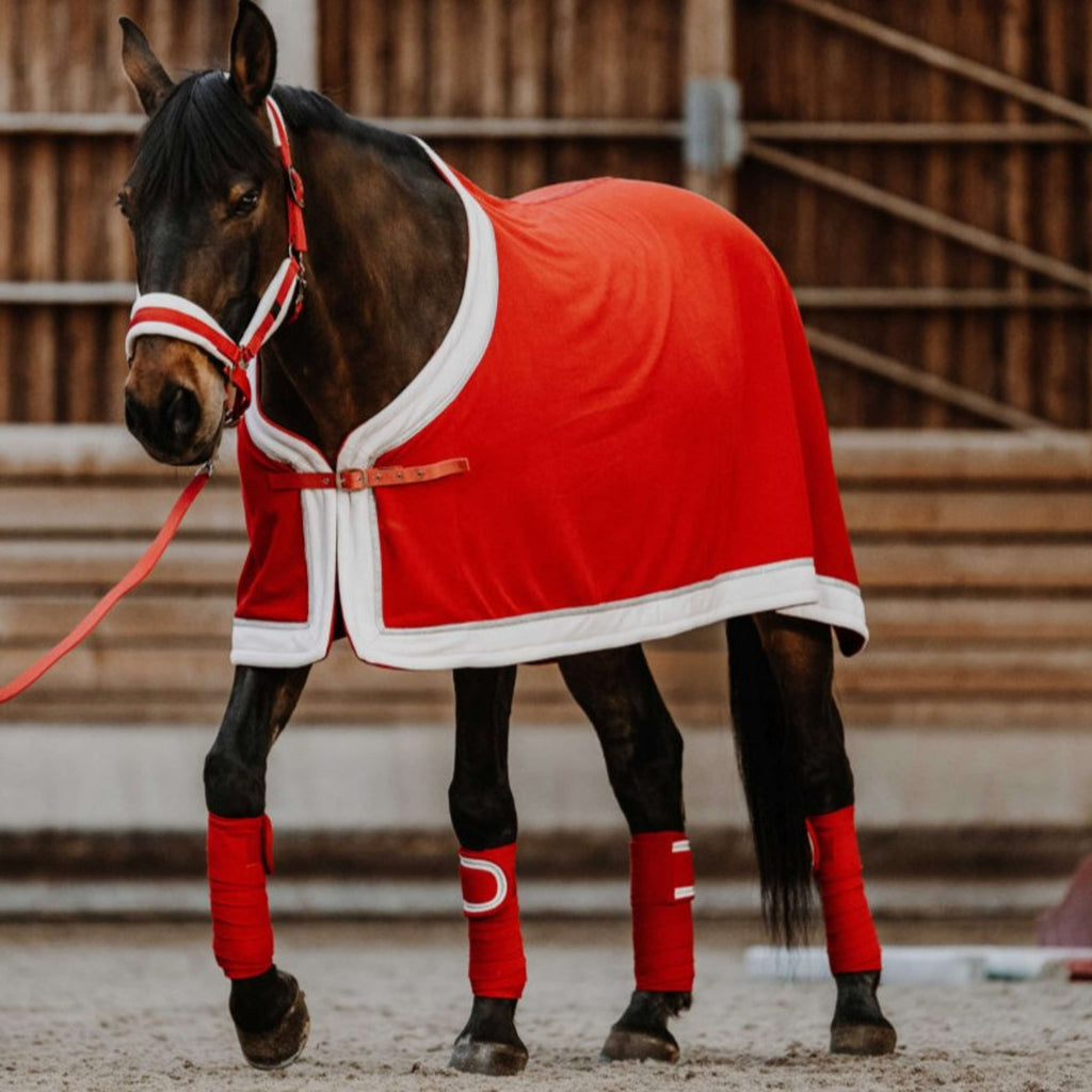 EQUITHÈME Bandages Kerst Rood