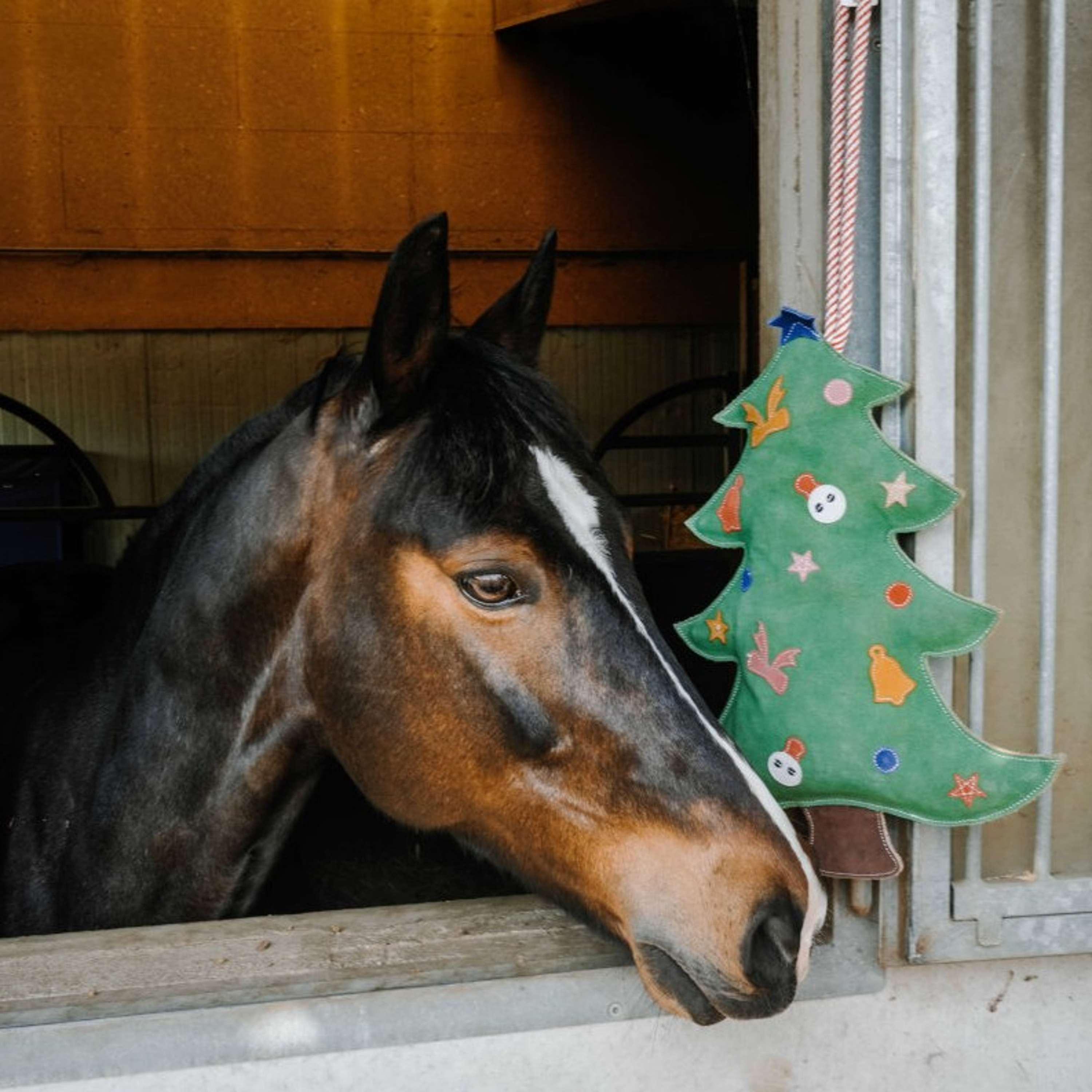 Hippotonic Speelgoed Kerstboom Groen