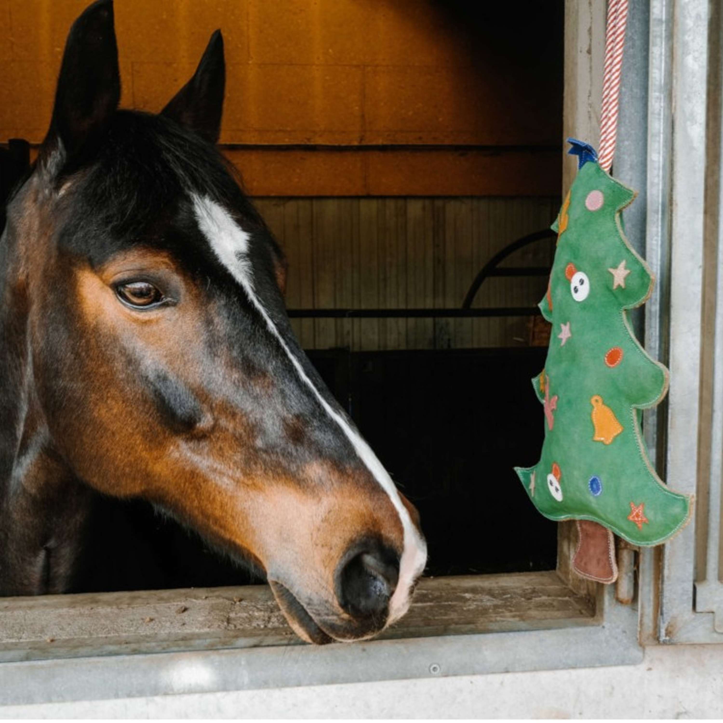 Hippotonic Speelgoed Kerstboom Groen