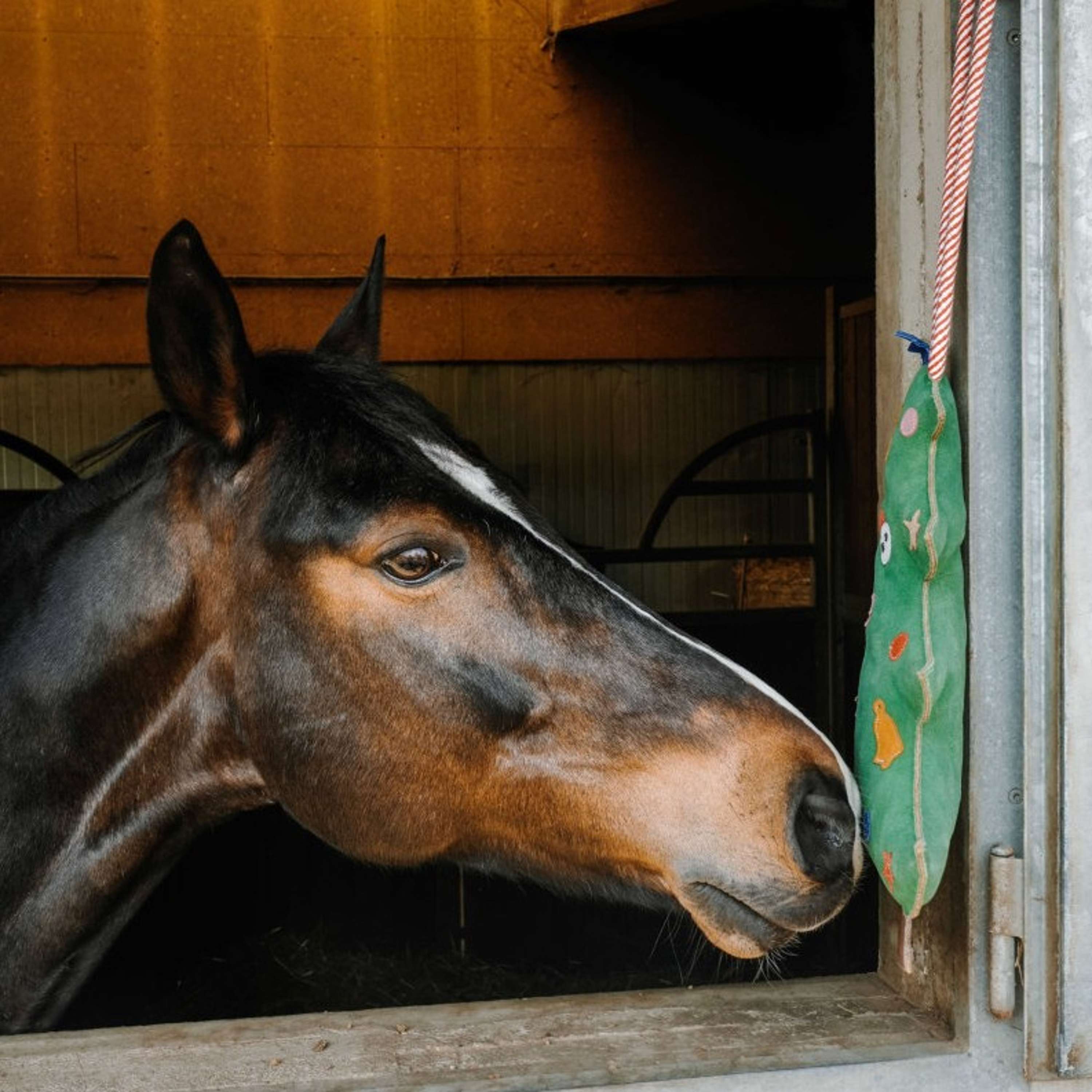 Hippotonic Speelgoed Kerstboom Groen