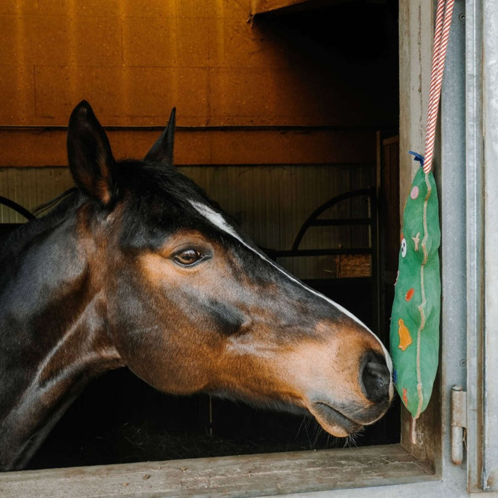 Hippotonic Speelgoed Kerstboom Groen