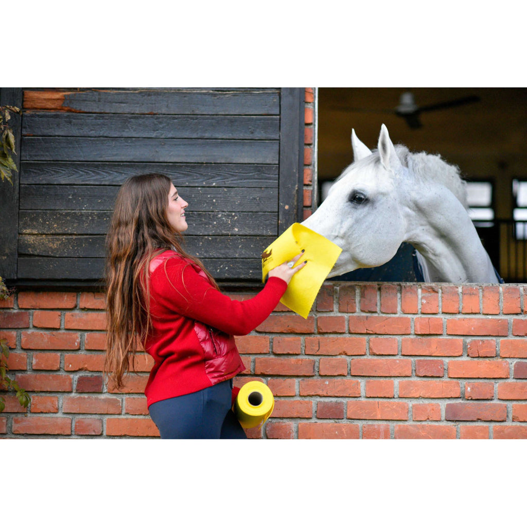 Horsewipe Reinigingsdoek Rol Geel
