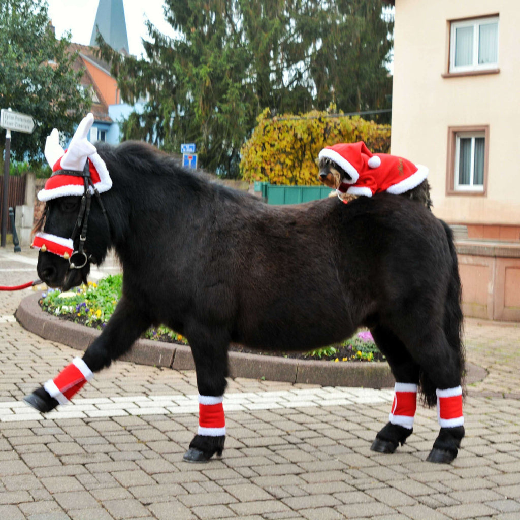 EQUITHÈME Rendiergewei Kerstmuts Rood