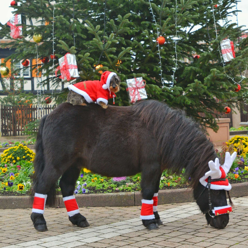 EQUITHÈME Rendiergewei Kerstmuts Rood