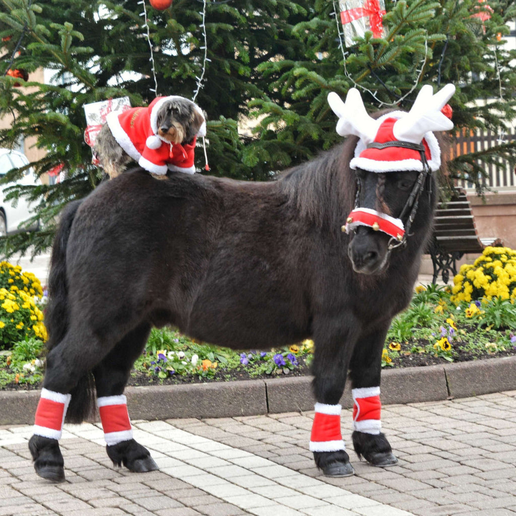EQUITHÈME Rendiergewei Kerstmuts Rood