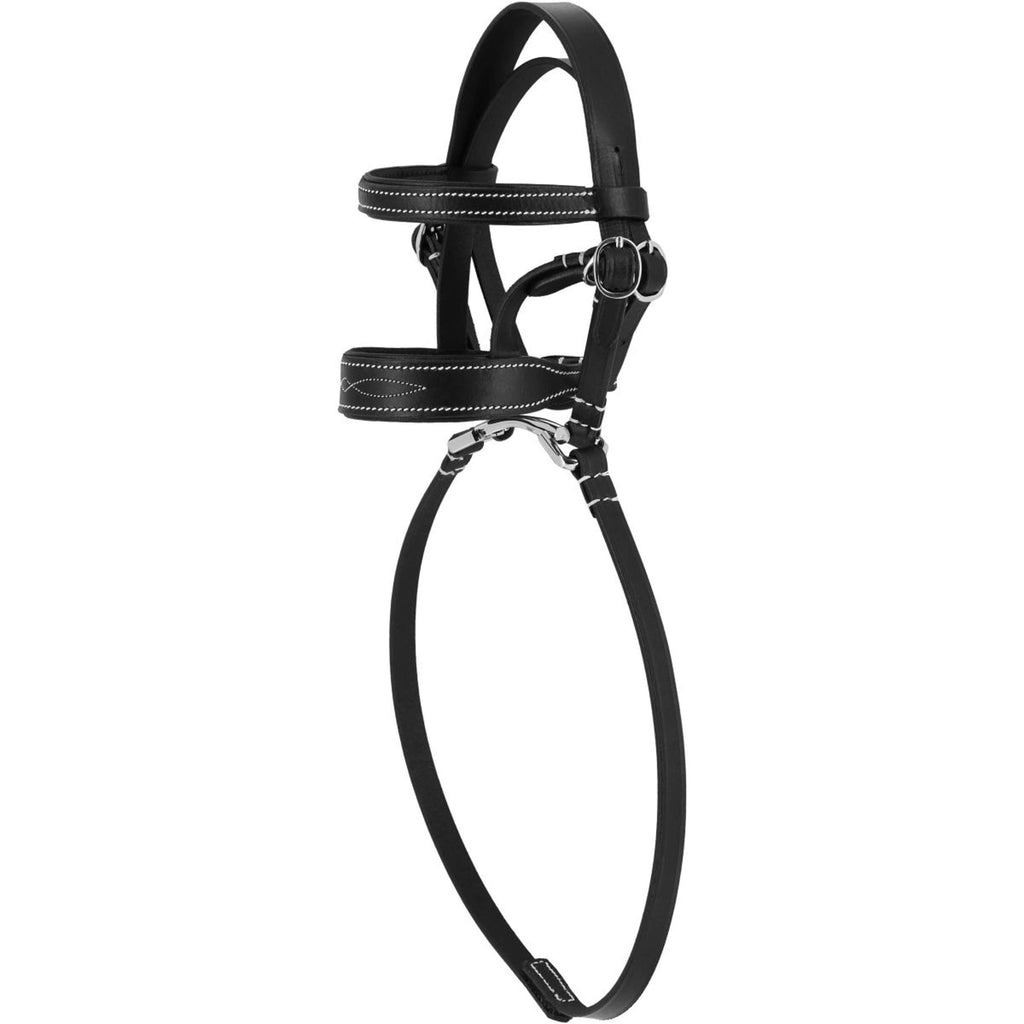 EQUITHÈME Pony Academy Hoofdstel Zwart