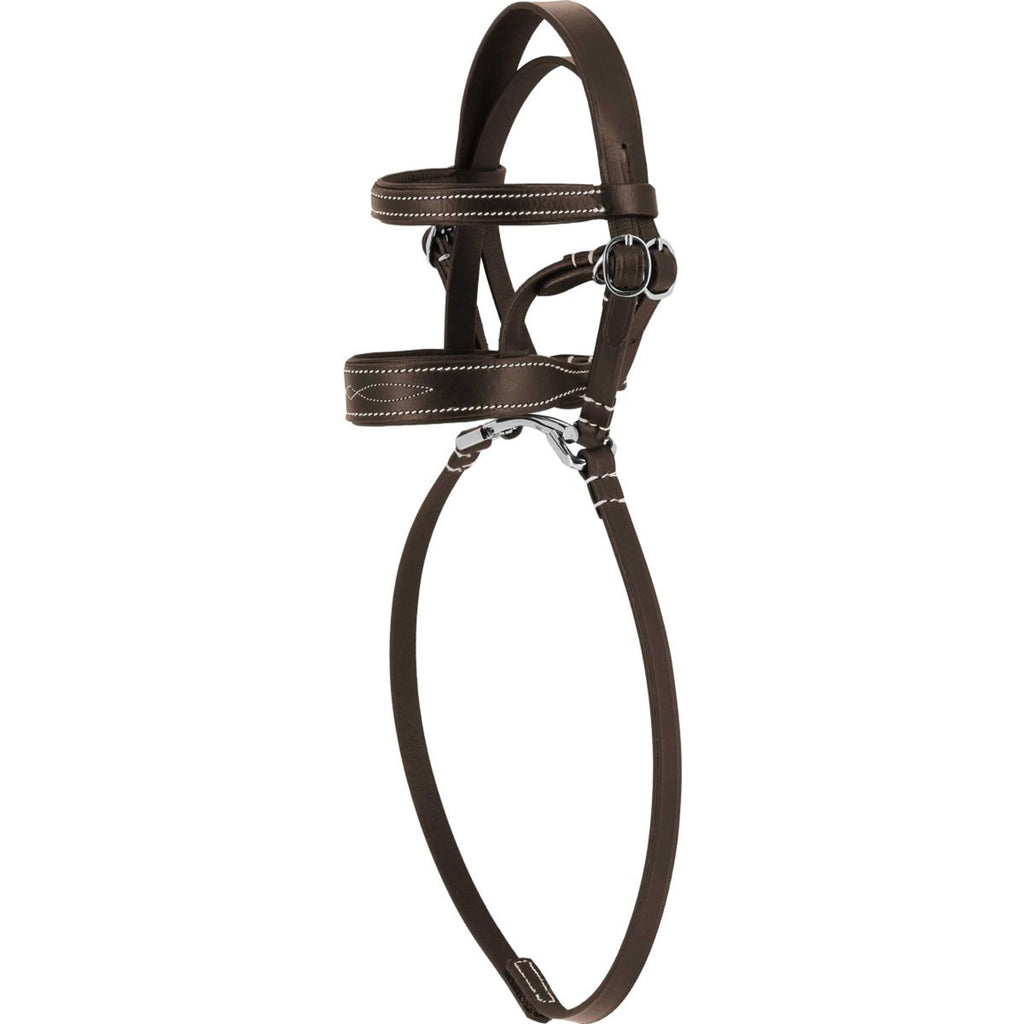 EQUITHÈME Pony Academy Hoofdstel Havana