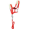 EQUITHÈME Pony Academy Halsterset Rood