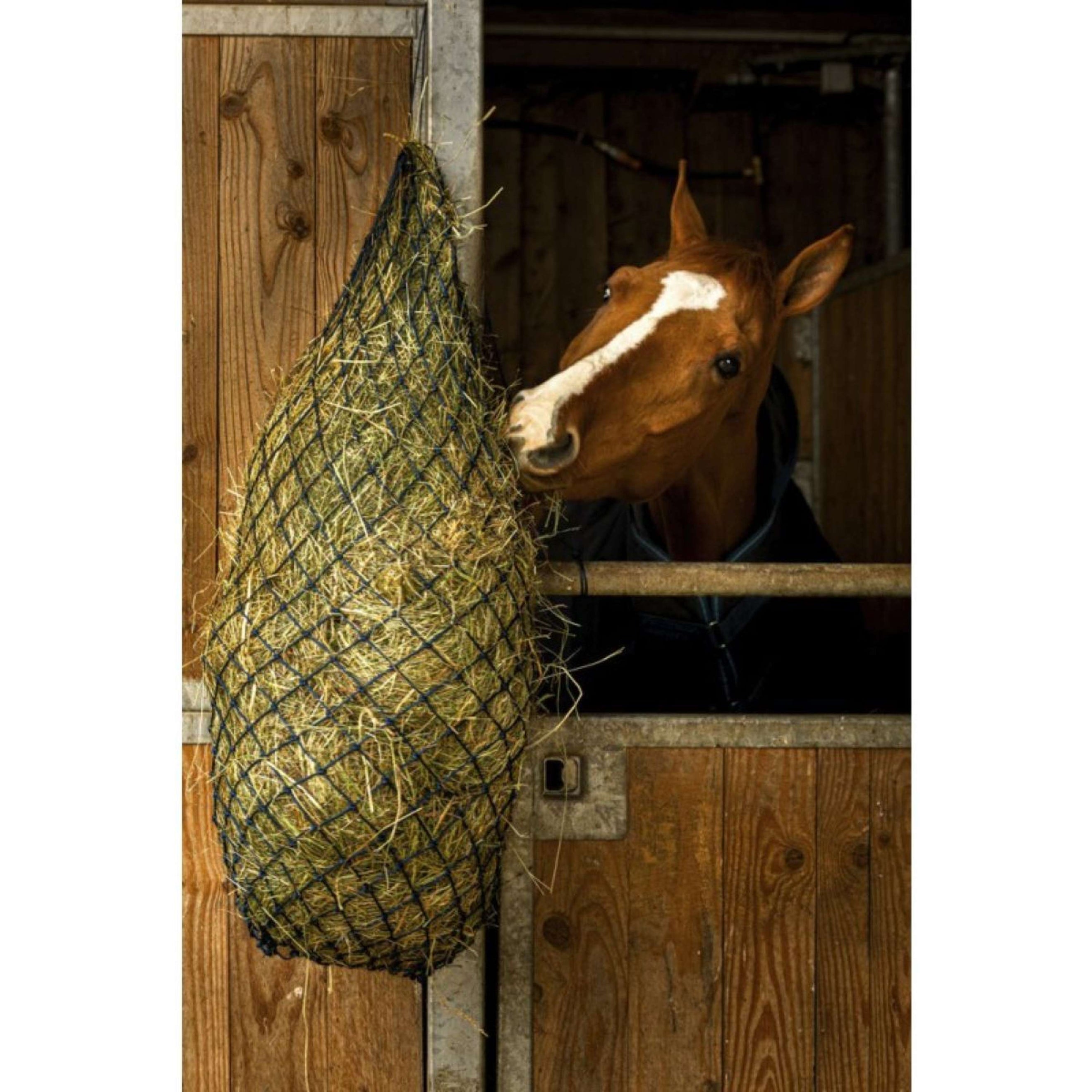 Hippotonic Hooinet Long Navy Hippotonic Hooinet Long Navy