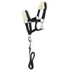 EQUITHÈME Pony Academy Halsterset Zwart Glitter
