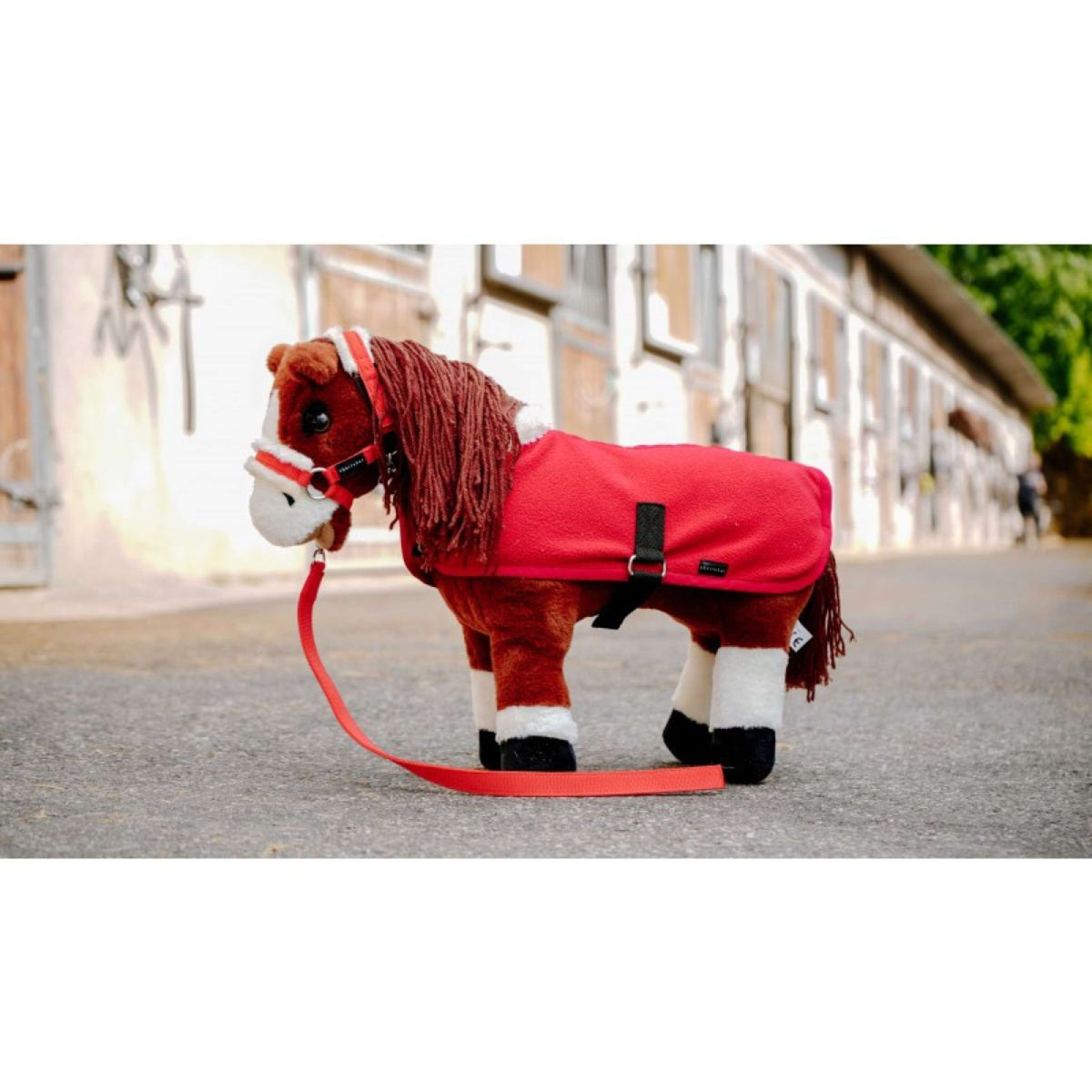EQUITHÈME Showdeken Set Mini Pony Academy Rood