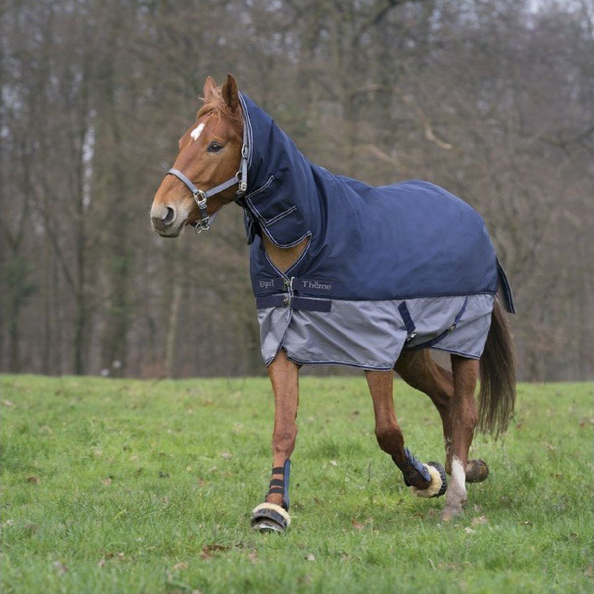 EQUITHÈME Turnout Rug Tyrex Combo 600D 0g Marine/Grijs