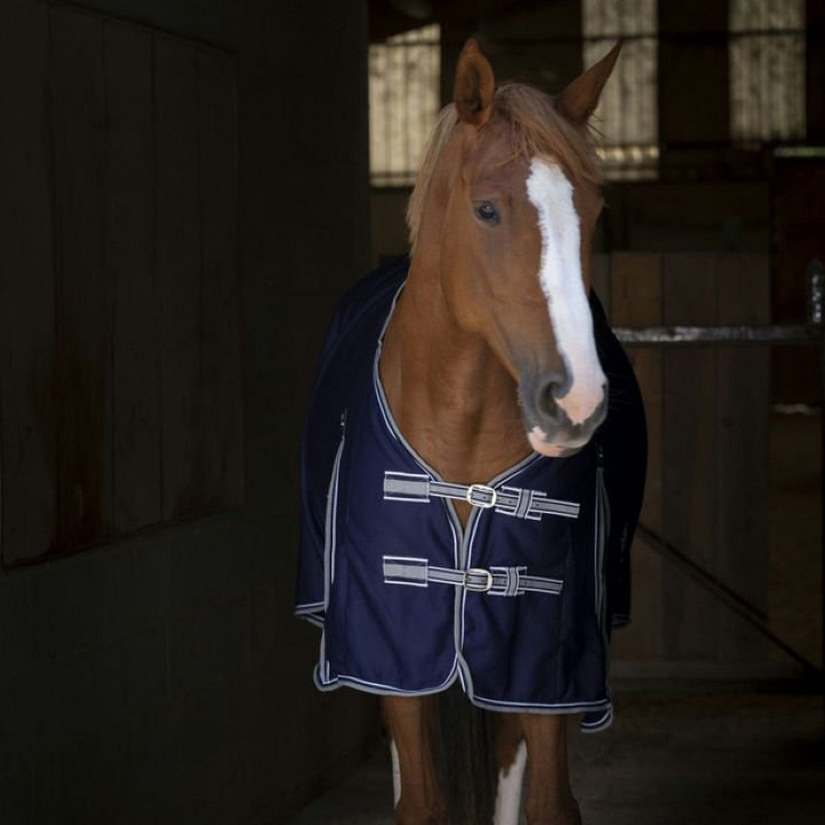 EQUITHÈME Zweetdeken Sweat Navy