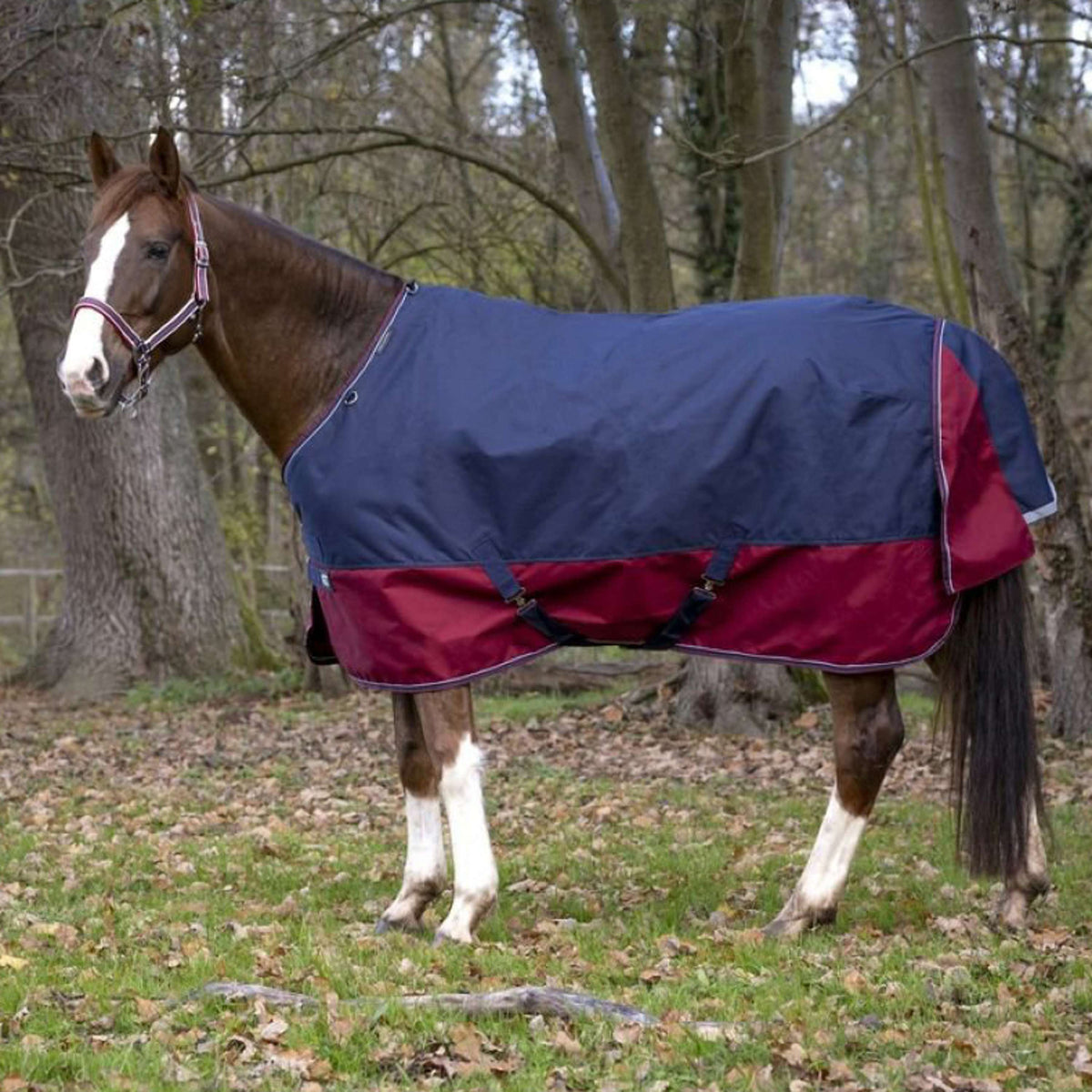 EQUITHÈME Outdoordeken Tyrex 1200D 150g Navy/Bordeaux