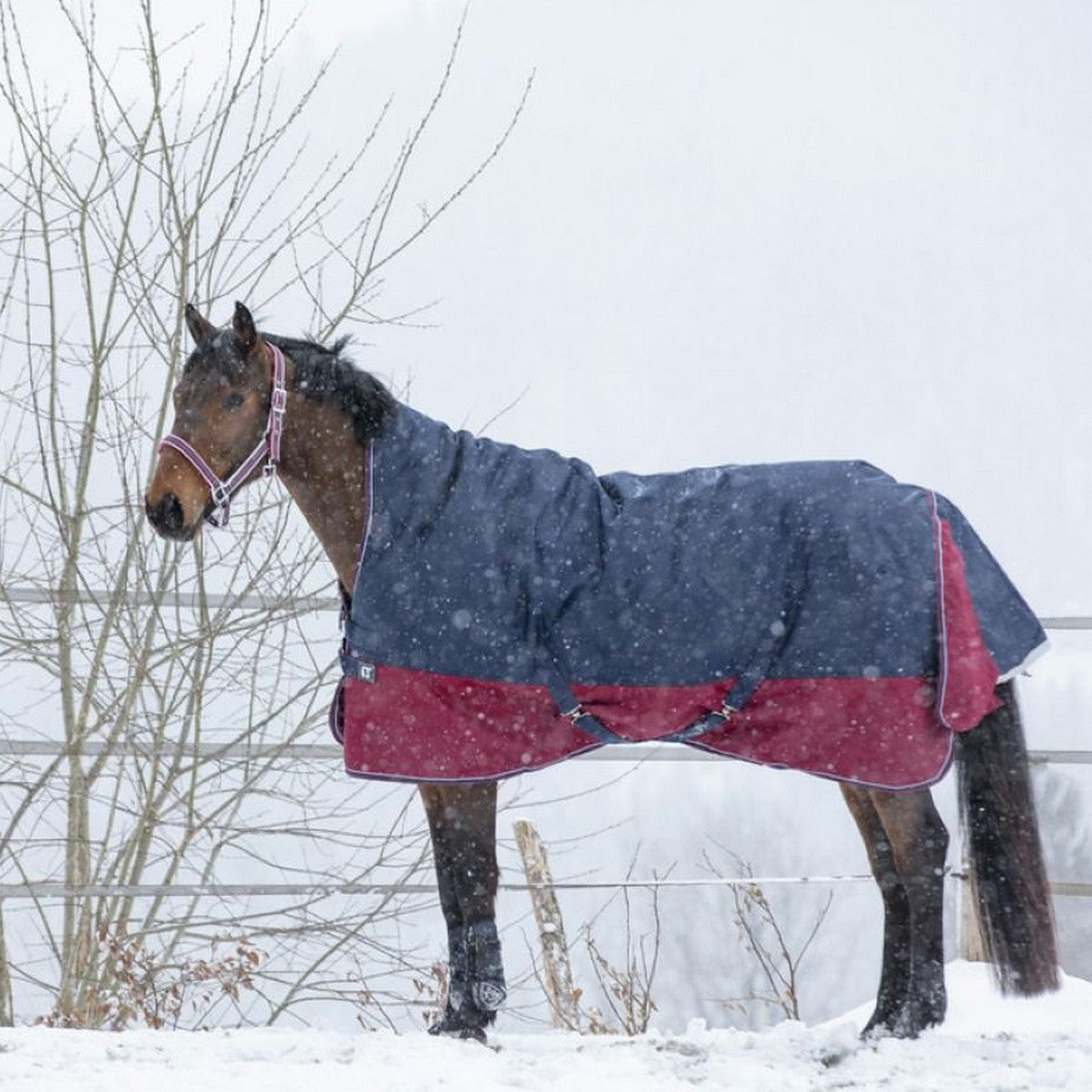 EQUITHÈME Outdoordeken Tyrex 1200D 300g met Halve Hals Navy/Bordeaux