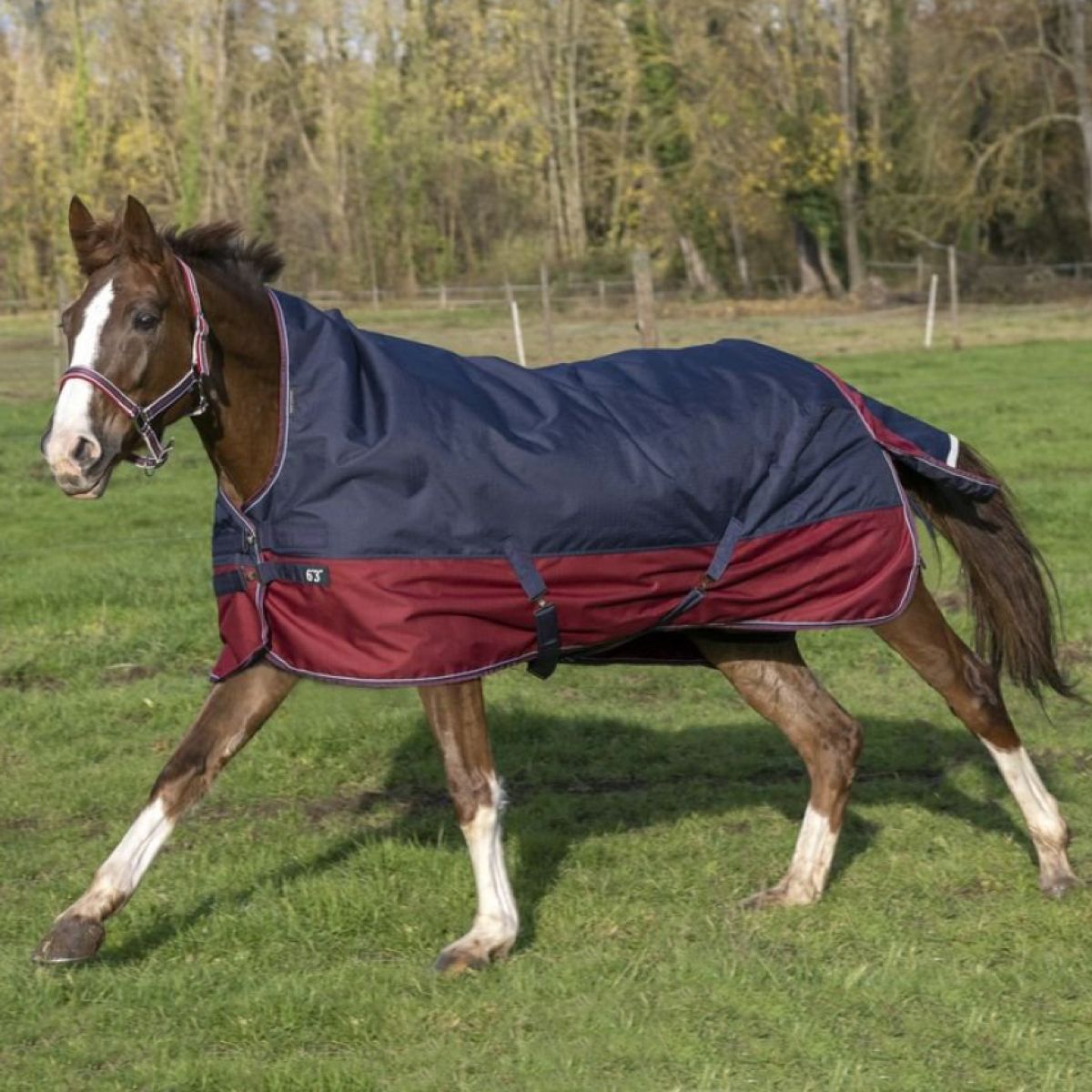 EQUITHÈME Outdoordeken Tyrex 1200D 0g met Halve Hals Navy/Bordeaux