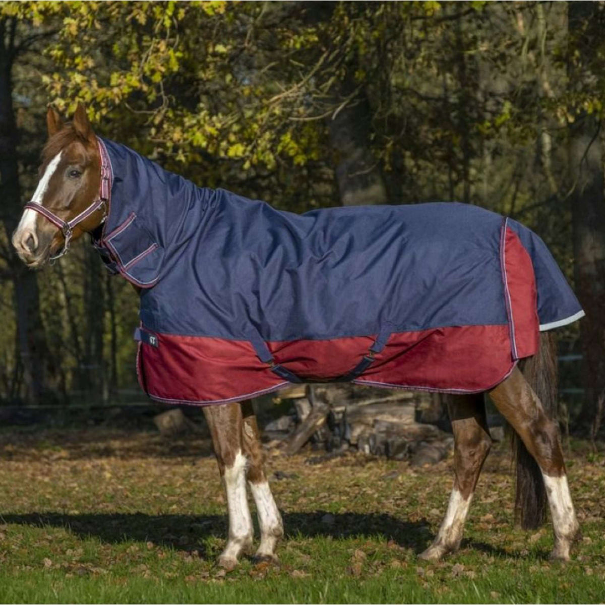 EQUITHÈME Outdoordeken Tyrex 1200D 200g met Hals Navy/Bordeaux