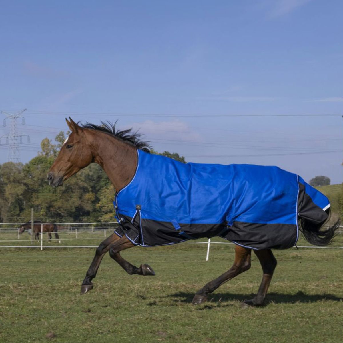 EQUITHÈME Outdoordeken Tyrex 1200D Aisance 300g met Halve Hals Blauw/Zwart