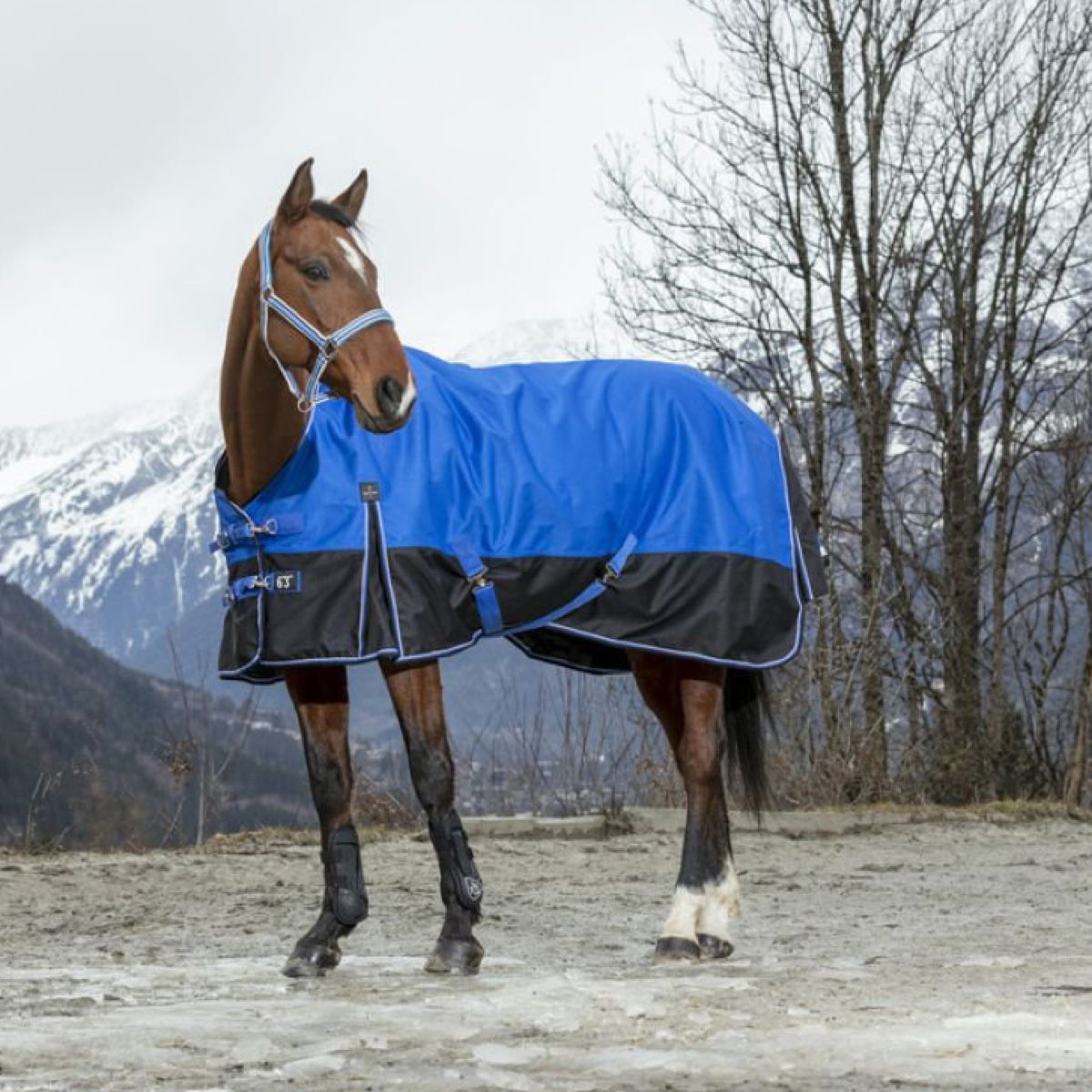 EQUITHÈME Outdoordeken Tyrex 1200D Aisance 0g met Halve Hals Blauw/Zwart