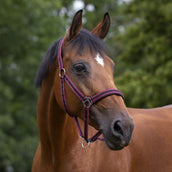 Norton Halster Gevoerd met Neopreen Bordeaux/Zwart