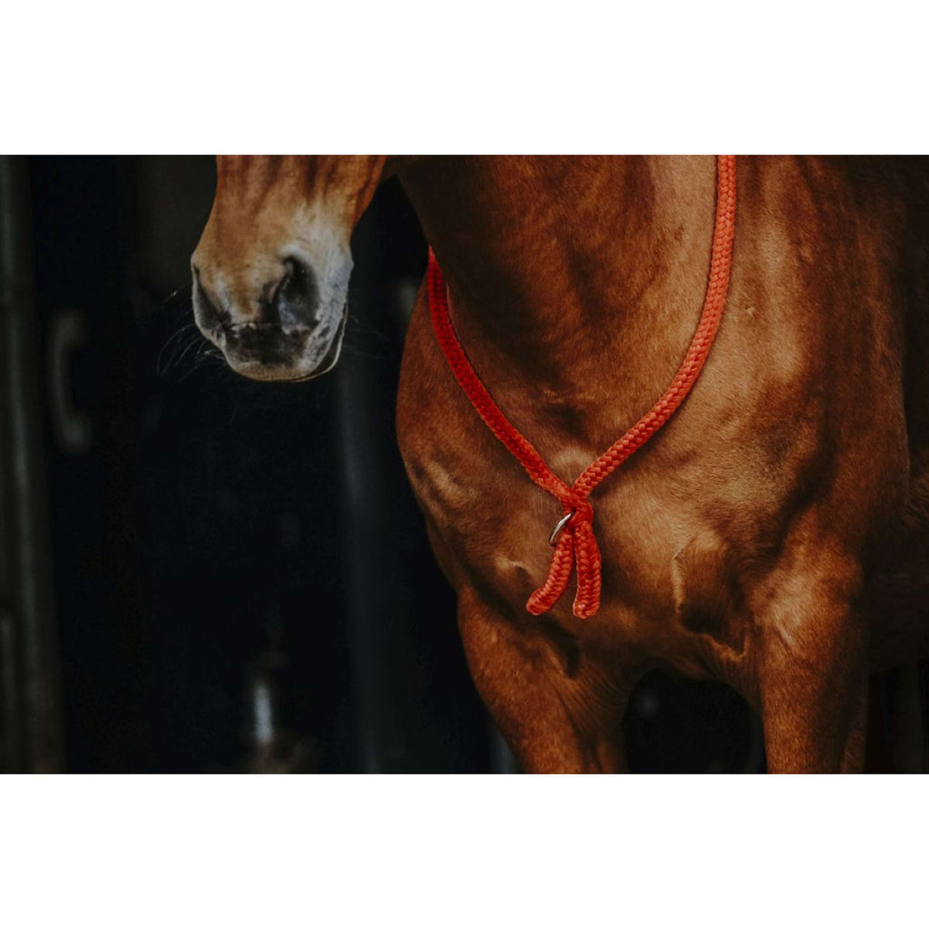 Norton Neckrope Rood