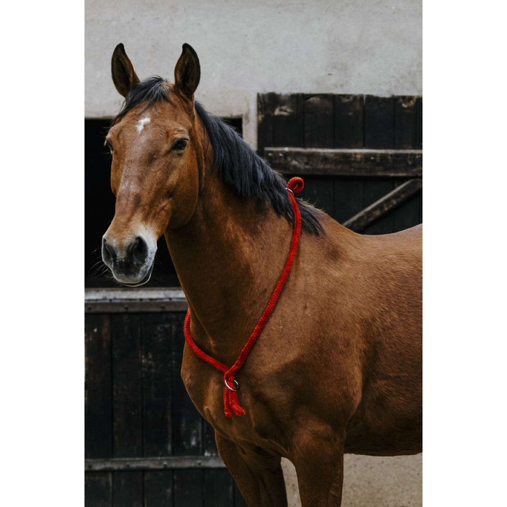 Norton Neckrope Rood