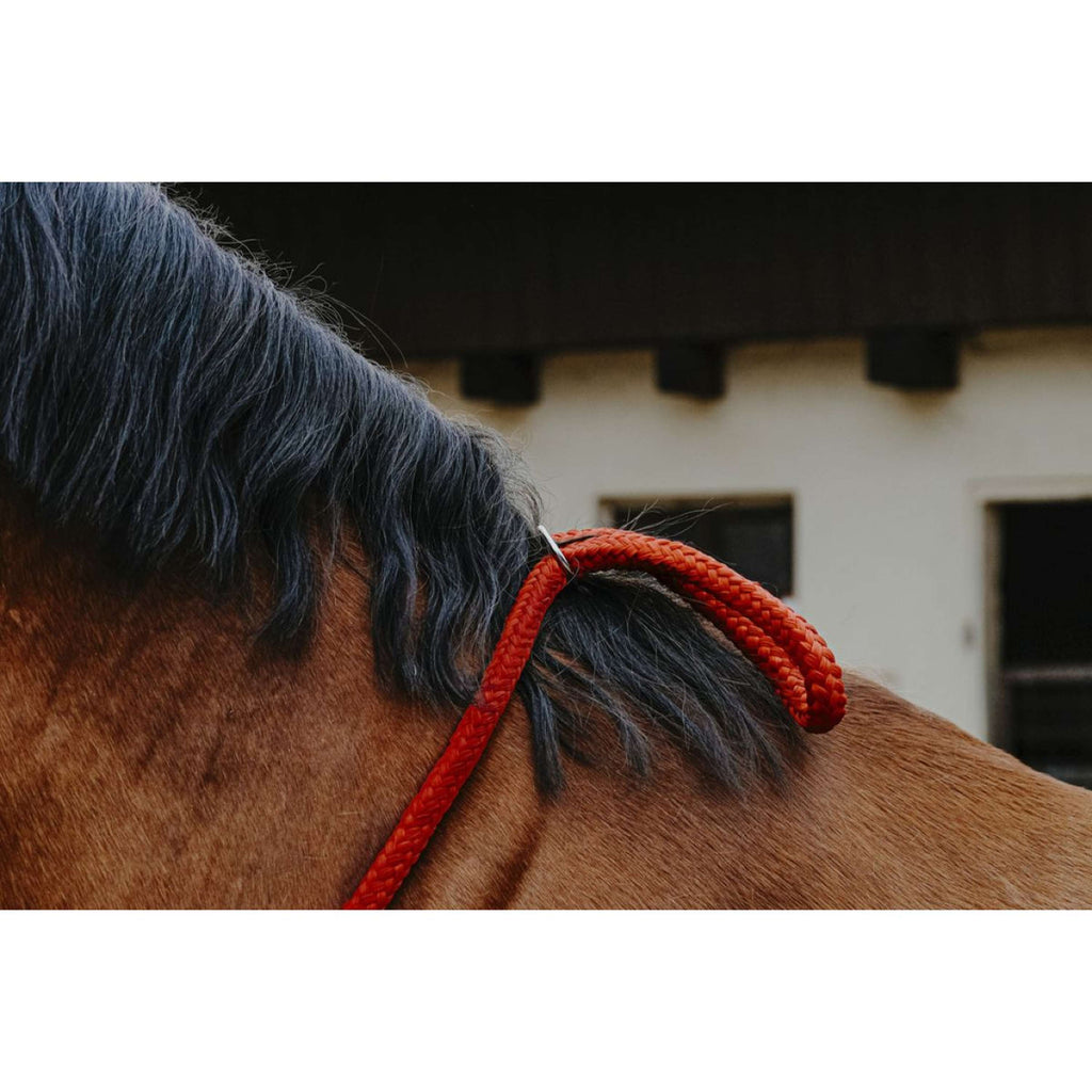 Norton Neckrope Rood