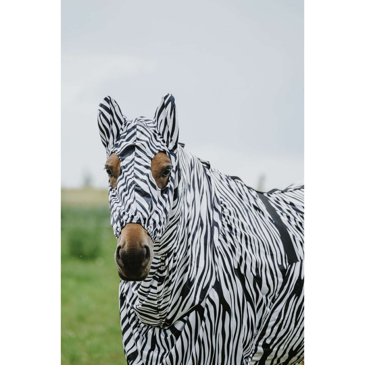 Riding World Eczeemmasker Zebra