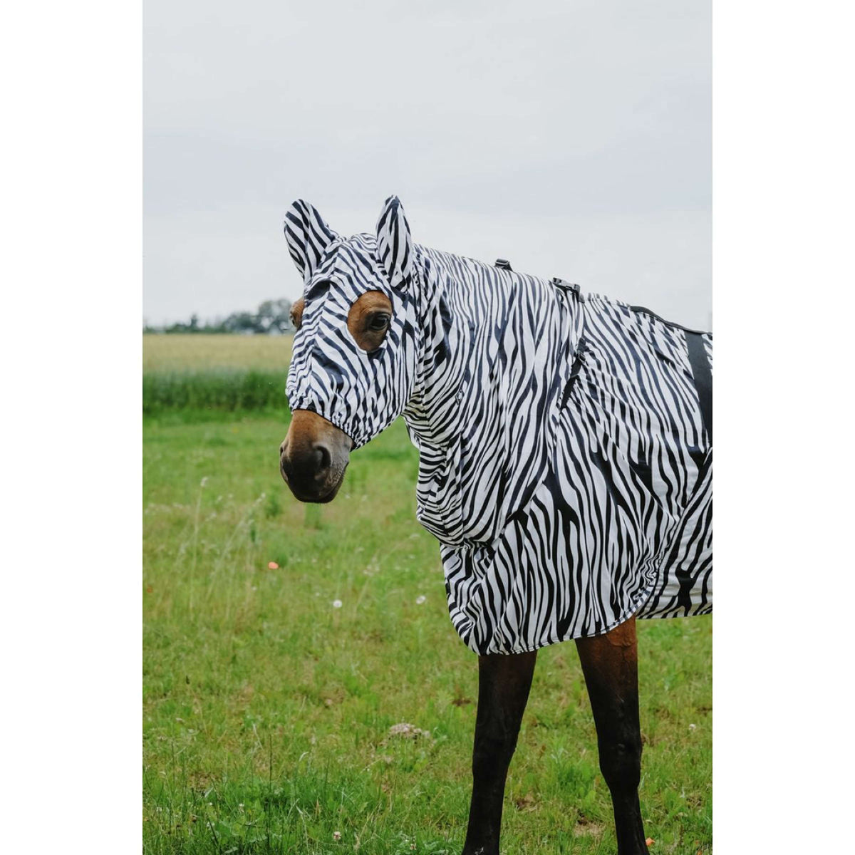 Riding World Eczeemmasker Zebra