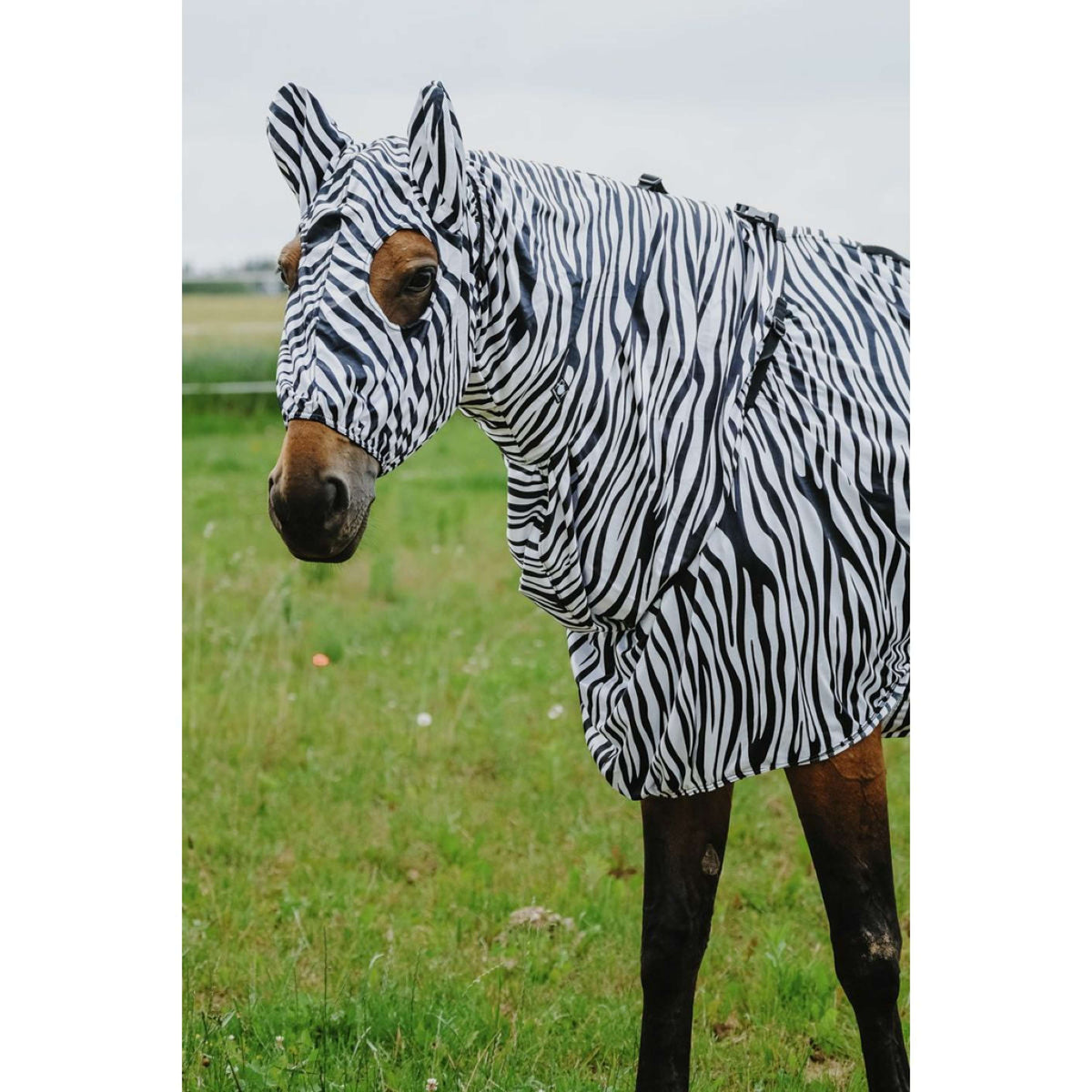 Riding World Eczeemmasker Zebra