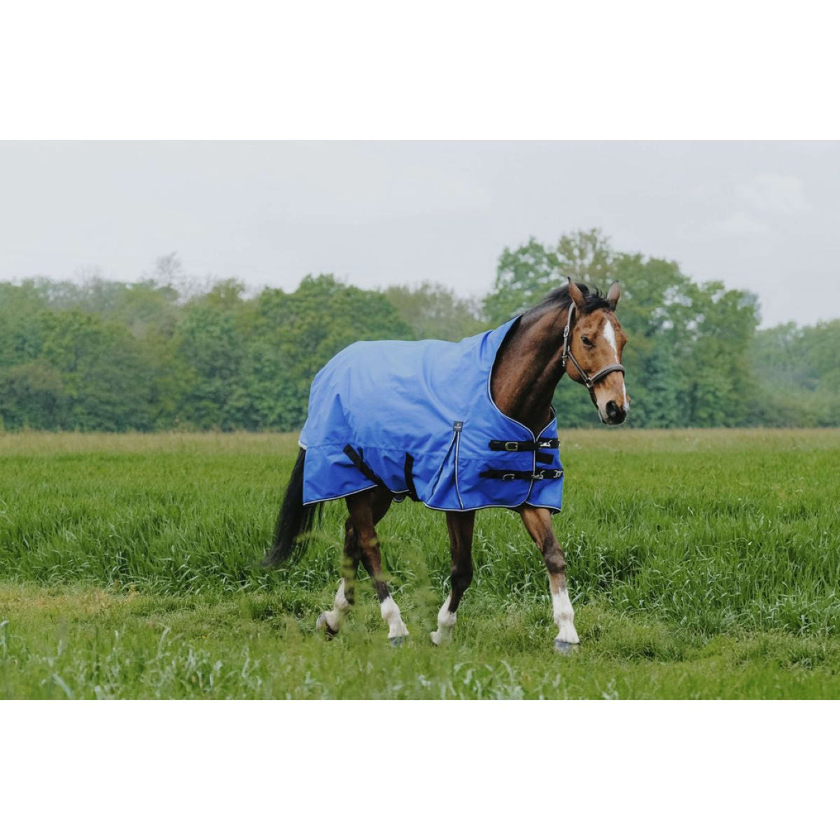 EQUITHÈME Outdoordeken 1200D 150g Aisance High Neck Royal Blue