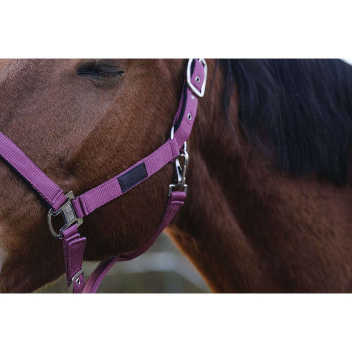 EQUITHÈME Halster Spring Nylon Roze