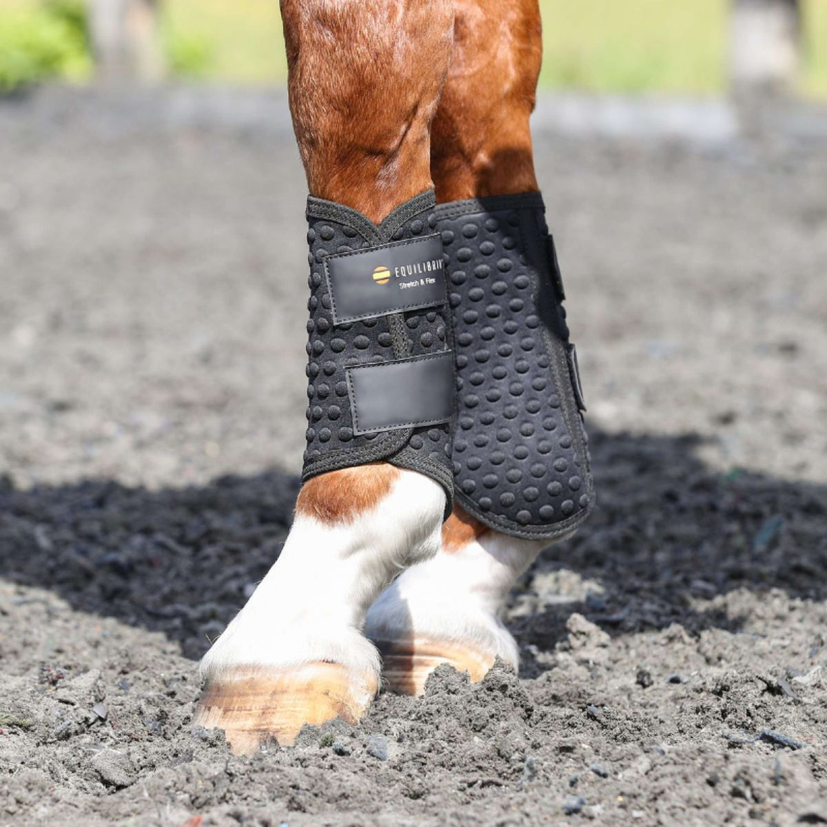 Equilibrium Beenbeschermers Stretch & Flex Flatwork Zwart