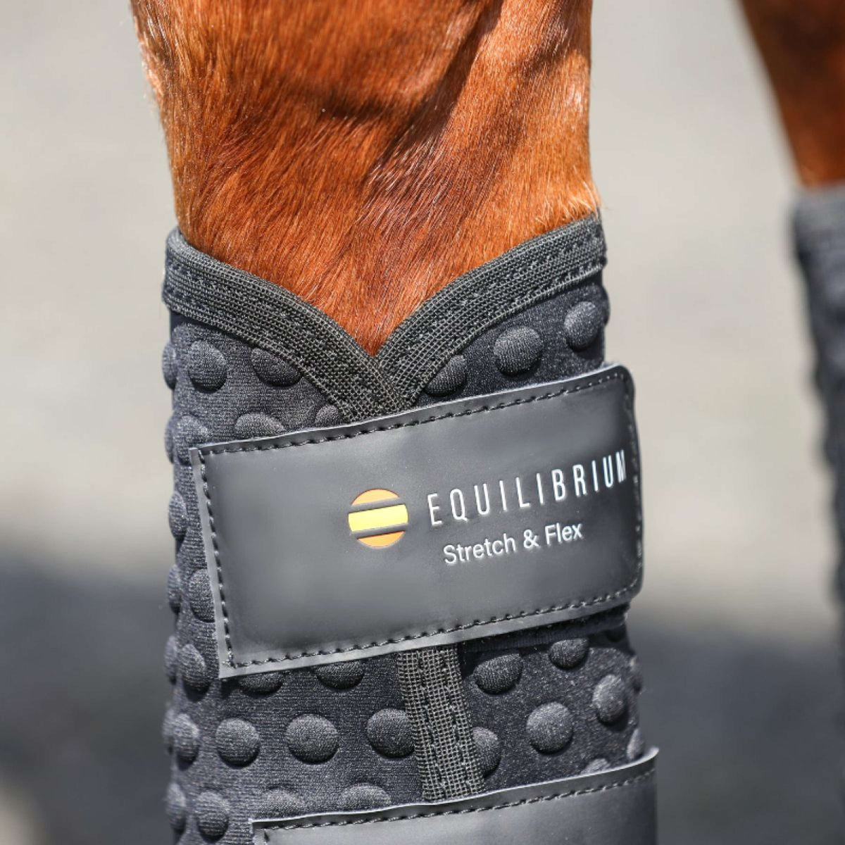 Equilibrium Beenbeschermers Stretch & Flex Flatwork Zwart