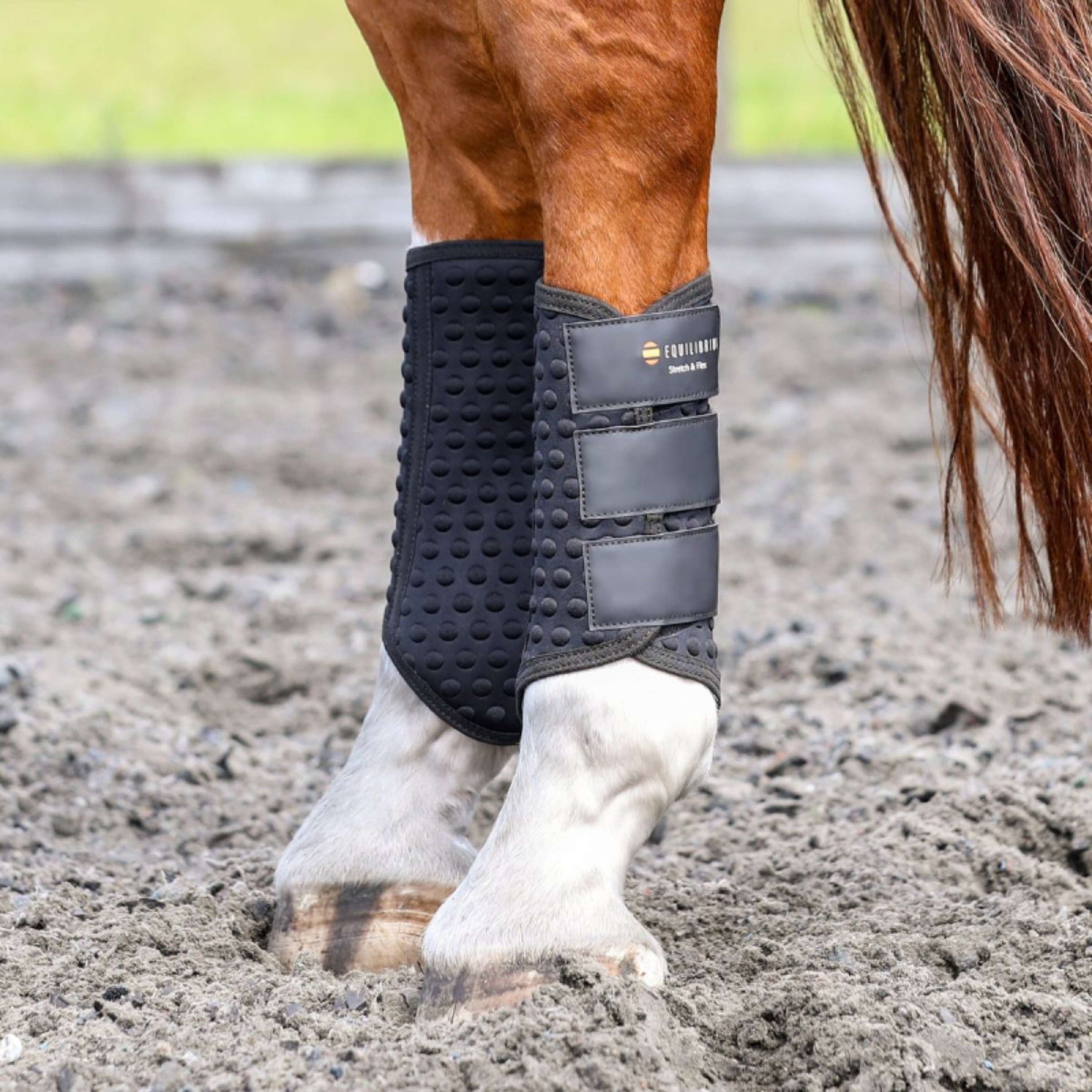 Equilibrium Beenbeschermers Stretch & Flex Flatwork Zwart Equilibrium Beenbeschermers Stretch & Flex Flatwork Zwart