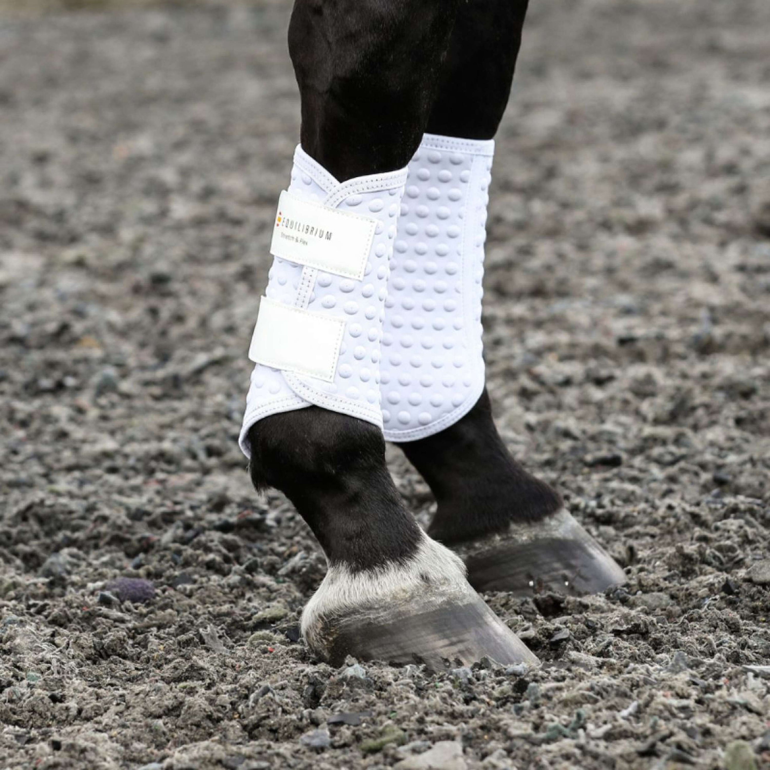 Equilibrium Beenbeschermers Stretch & Flex Flatwork Wit Equilibrium Beenbeschermers Stretch & Flex Flatwork Wit