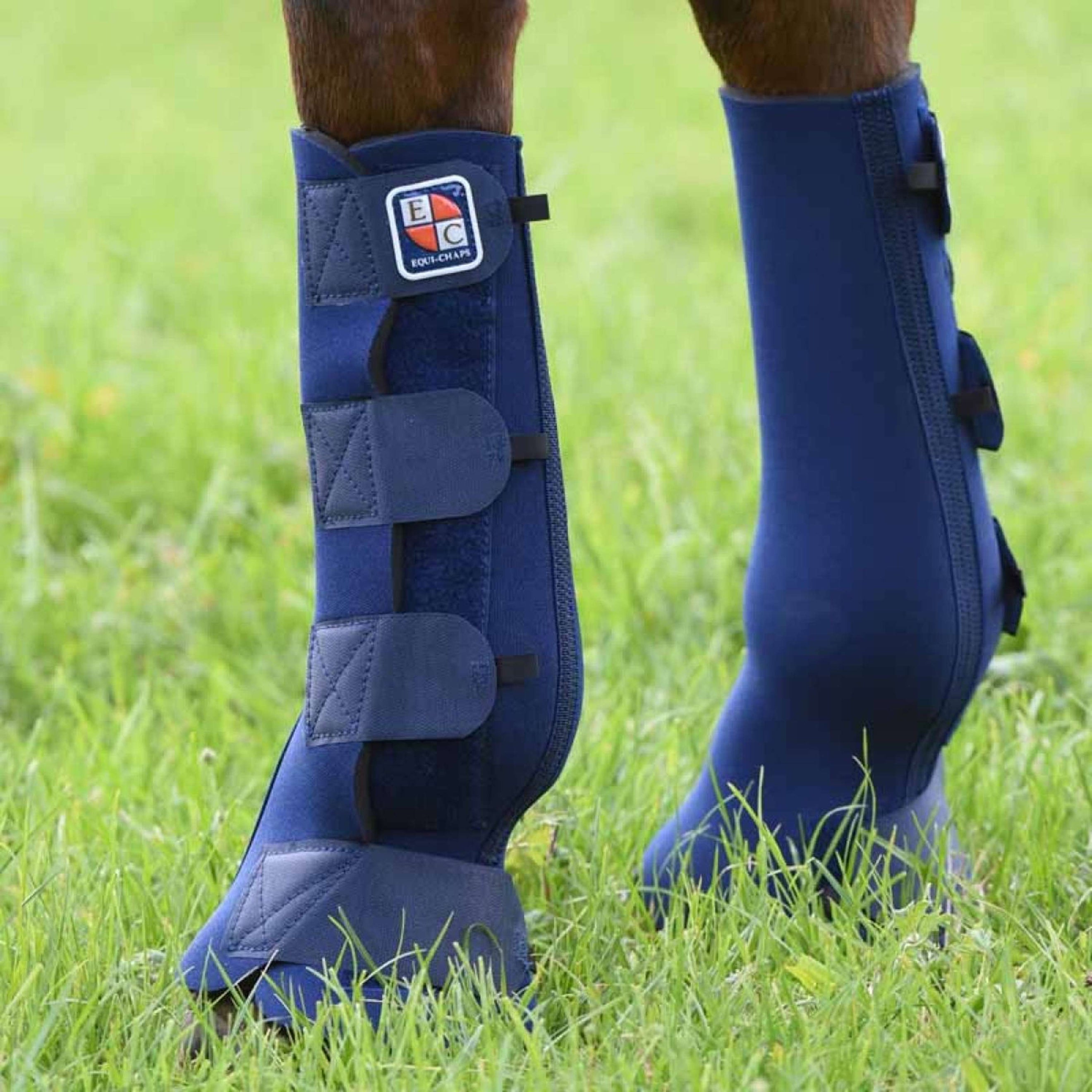 Equilibrium Beenbeschermers Equi-Chaps Hardy Navy Equilibrium Beenbeschermers Equi-Chaps Hardy Navy
