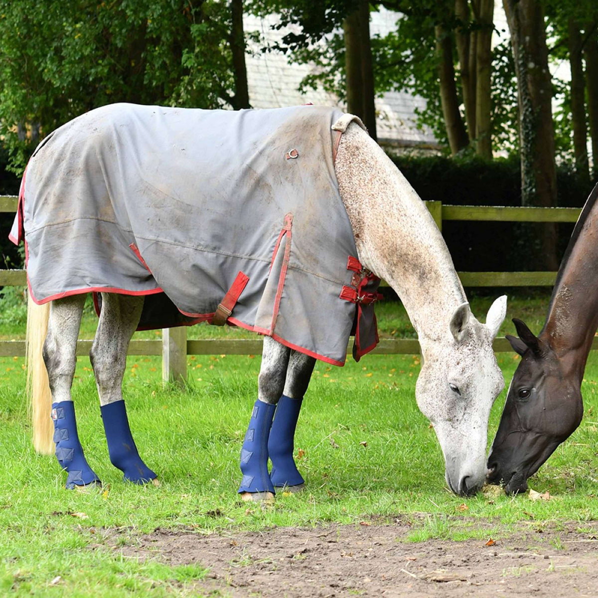 Equilibrium Beenbeschermers Equi-Chaps Hardy Navy