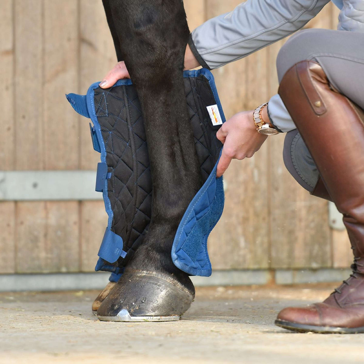 Equilibrium Beenbeschermers Equi-Chaps Stable Navy