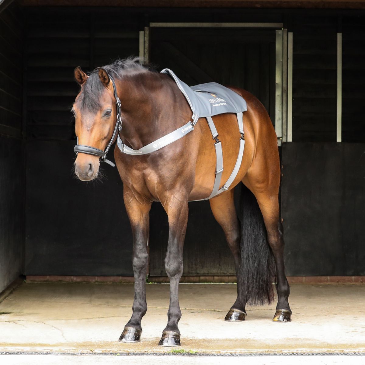 Equilibrium Massage Pad Grijs