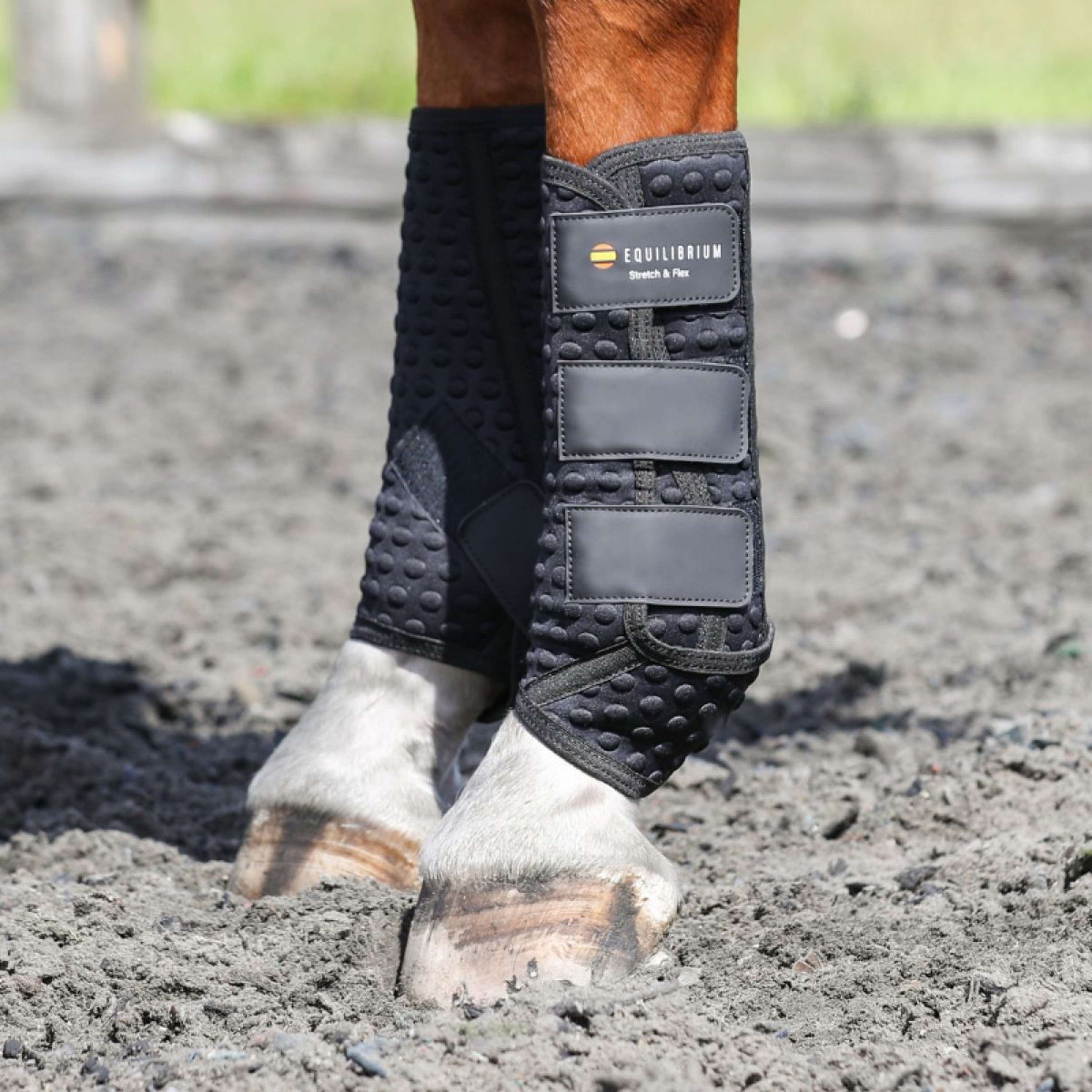 Equilibrium Beenbeschermers Stretch & Flex Training Zwart Equilibrium Beenbeschermers Stretch & Flex Training Zwart